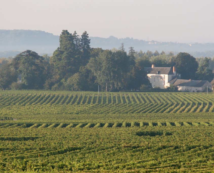 France Trip Secrets - Loire Valley winery Bourgueil - ©Château de Miniere