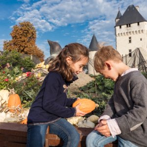 France Trip Secrets - Rivau castle in the Loire Valley family - ©Château du Rivau