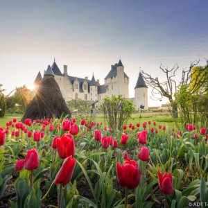 France Trip Secrets - Rivau castle in the Loire Valley- ©ADT Touraine - JC Coutand