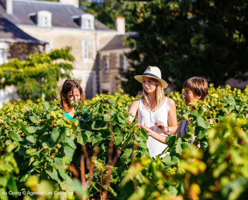 France Trip Secrets - Private wine tour in the Loire Valley Nantes - ©Agence Les Conteurs