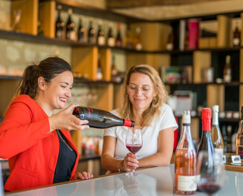 France Trip Secrets - Private wine tours in the Loire Valley Western France - ©ADT Touraine - JC Coutand (1)