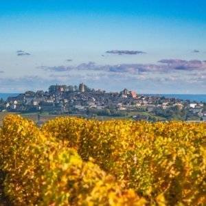 France Trip Secrets - Sancerre private tour